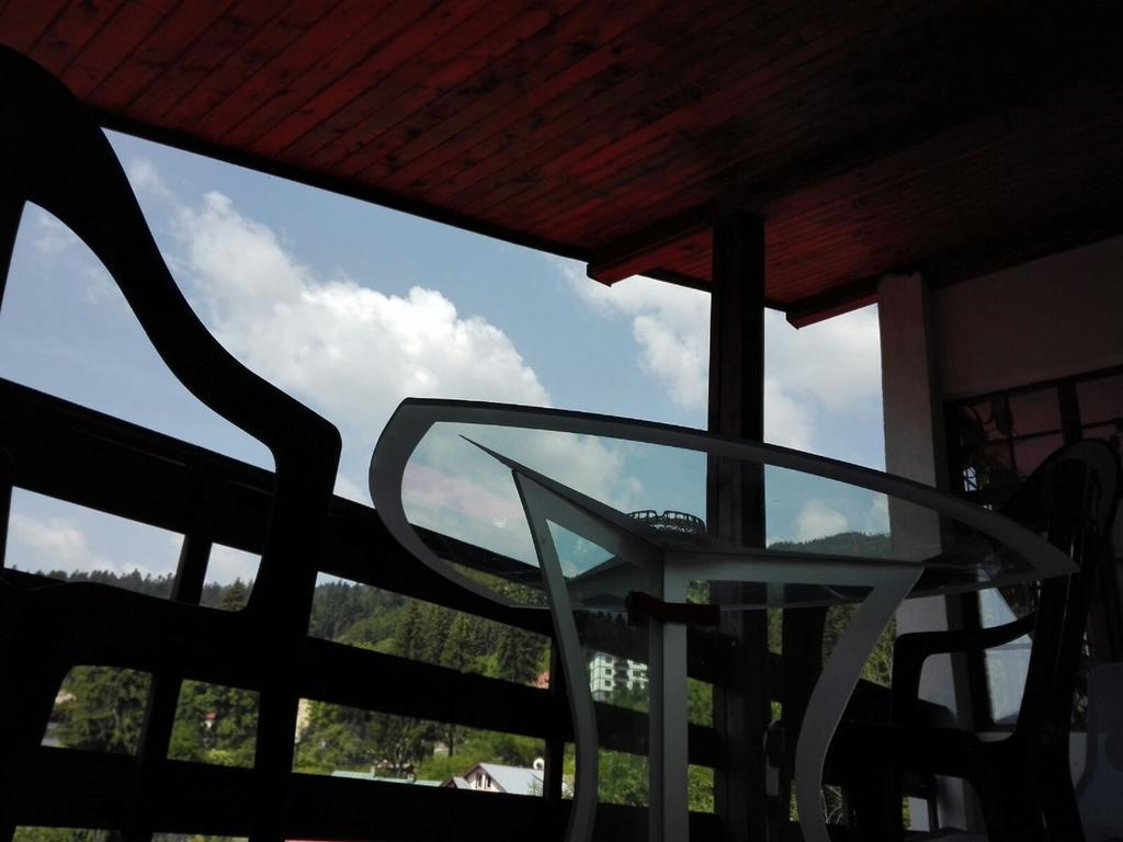 Hotel New Aosta Garden à Sinaia Extérieur photo